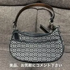 ④コーチハンドバッグ（ミニサイズ）