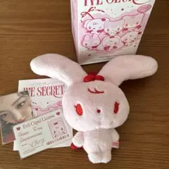 ive secret evil cupid ウォニョン　CHERRY