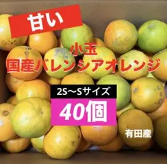 34)数量限定　甘い　小玉　国産　バレンシアオレンジ　みかん　果物 旬　家庭用のサムネイル