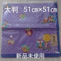 Item thumbnail for item 561c9d8b-9872-41f0-a213-31a269b7ad0c