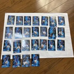 日本代表 カルビーポテトチップス レアカード 30枚セット