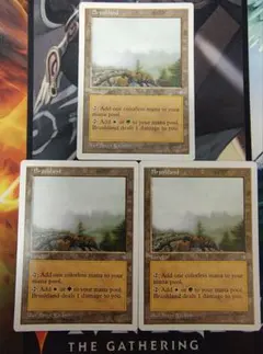 MTG 低木林地 Brushland 英4枚 - メルカリ