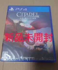 ☆新品未開封☆ PS4 シタデル :永炎の魔法と古の城塞