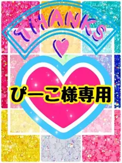 ぴーこ様専用╰(*´︶`*)╯♡