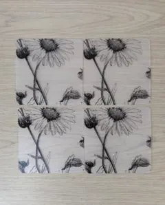 Item thumbnail for item 2b344b22-31a3-4ca5-a52e-3e0183dfaac3