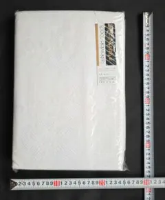 Item thumbnail for item 892b2959-ac70-4e80-b769-638d2e3c4544