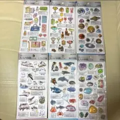 【正規品】大人の図鑑シール3D 第一弾6種セット コンプリート