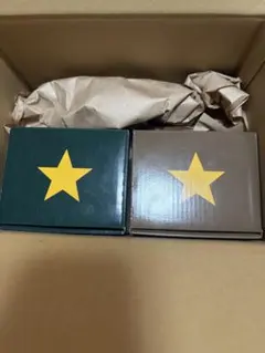 スタバ リワード　スターマグ ブラウン グリーン　マグカップ　296ml