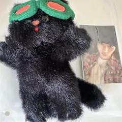 プネクド テサン