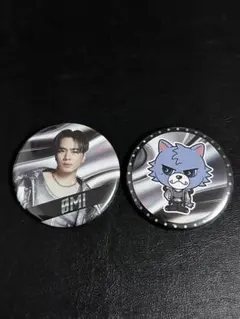 登坂広臣 缶バッジ 2種 セット 三代目 ガチャ FOREVER ONE