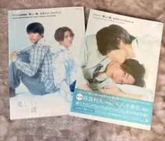 美しい彼公式ビジュアルブック