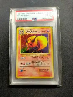 ブースター ★ 第2弾拡張パック ポケモンジャングル　PSA6 EX-MT