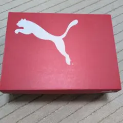 Puma Prowl Ease in SGR Wmn 23.5cm空箱！