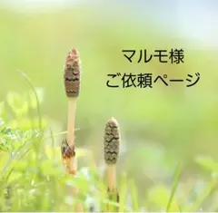 マルモ様 ご依頼リクエスト 3点 おまとめ商品