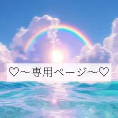 Owen様 リクエスト 2点 まとめ商品