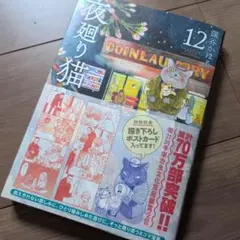 夜廻り猫(12)のサムネイル