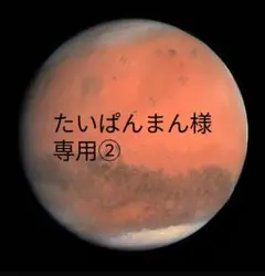 たいぱんまん様　専用②