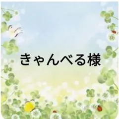 きゃんべる様確認用