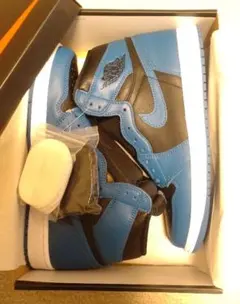 NIKE 27.0cm AIRJORDAN 1 DARK MARINA BLUE