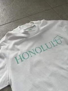 美品 サルページパブリックコレパ HONOLULU モックネックシャツ