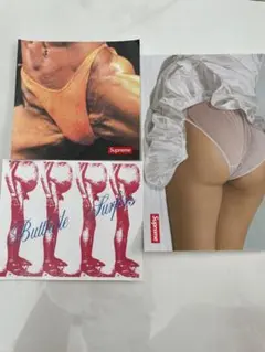 Supreme Butthole Surfers ステッカー 3枚セット