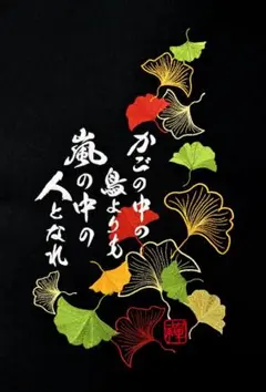 前掛け◾️佐川急便◾️HIKYAKU◾️刺繍◾️黒地に黄色の刺繍◾️ 楽天市場】前掛け 佐川急便 路線ドライバー 刺繍 エプロン 帆