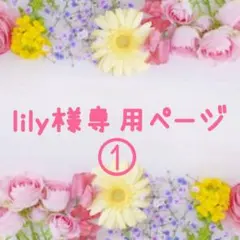 lily様専用ページ①