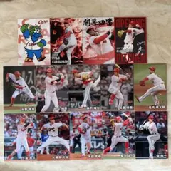 プロ野球チップスカード2025広島東洋カープ14枚セット