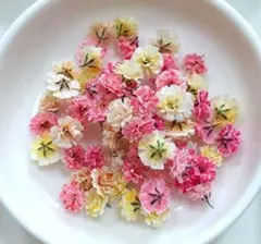 No,393☘️かすみ草のドライフラワー