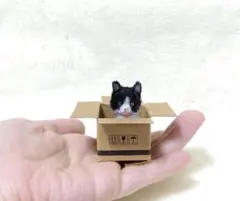 モールアート ダンボール猫 ハチワレ