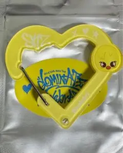 SKZOO SECRET ACRYLIC CARABINER ポガリ