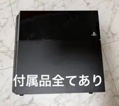 SONY PS4 PlayStation4 本体 ブラック 付属品全てあり