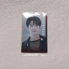 SEVENTEEN ウエハース ウォヌ