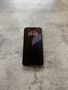 使用歴8ヶ月未満　iPhone15pro 超美品