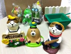 コンコンブル　春セット