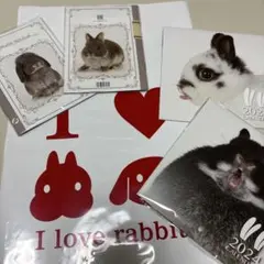 Item thumbnail for item 5a30e647-df8c-4ccf-bf7a-4465019a1b0b