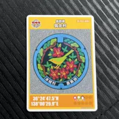 Item thumbnail for item ae386661-1ce8-4e18-8a30-87b90e01dd25