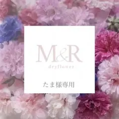 かすみ草ドライフラワー たま様専用