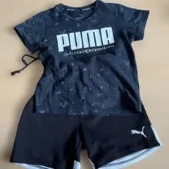 PUMA ブラック Tシャツ ショートパンツ