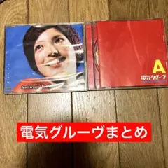 電気グルーヴ　A Nothing´s Gonna Change [CD]