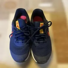 NIKE スニーカー　22.5センチ