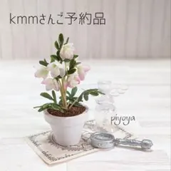 【kmmさんご予約品】