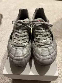 【25.5cm】ミズノ モレリア2 ジャパン