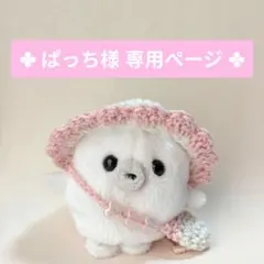 ✻ぱっち様専用ページ✻