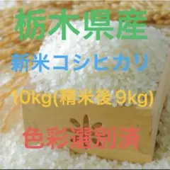 栃木県産 新米コシヒカリ 精米後9kgのサムネイル