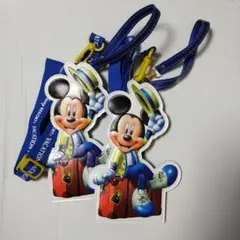 東京ディズニー　バケーションパッケージ　パスケース　チケットホルダー