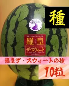 南国直送様 リクエスト 2点 まとめ商品