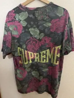 Item thumbnail for item 8c536034-371c-40cb-8690-a84851977251