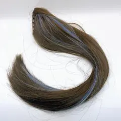 【新品】ヘアピース ポニーテール ウィッグ ダークブラウン　ブルー　50cm