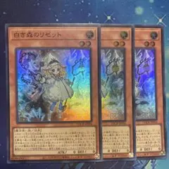 白き森のリゼット スーパー